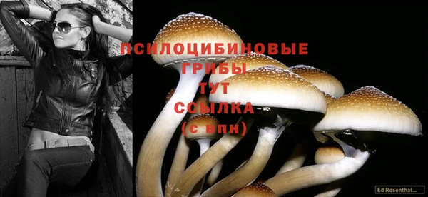 дмт Баксан