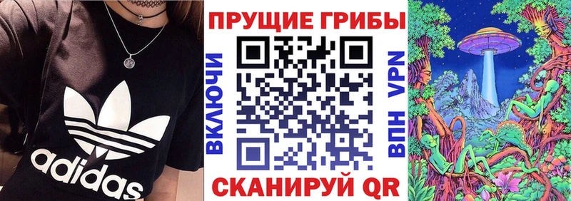 Купить  Покачи  Галлюциногенные грибы мицелий 